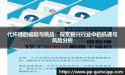 代怀博的崛起与挑战：探索新兴行业中的机遇与风险分析